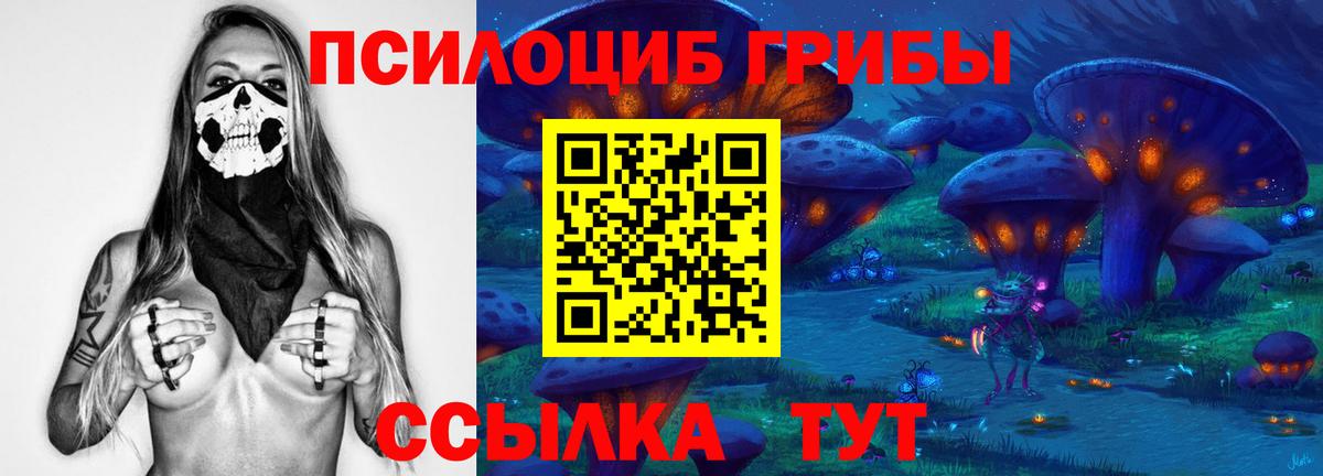 Псилоцибиновые грибы Cubensis  купить   Мурино  Вход с VPN 