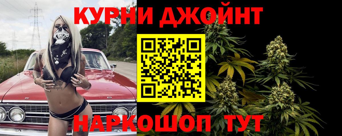 Каннабис конопля  Конопля ГИДРОПОН  Вход с VPN  Мурино  Бошки Шишки Amnesia 